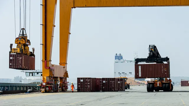 Белгийските митници иззеха близо 55 тона кокаин на пристанището в Антверпен за година