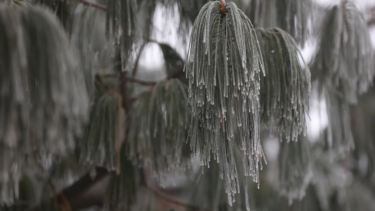Променливо време днес: София със сняг, дъжд и условия за поледици