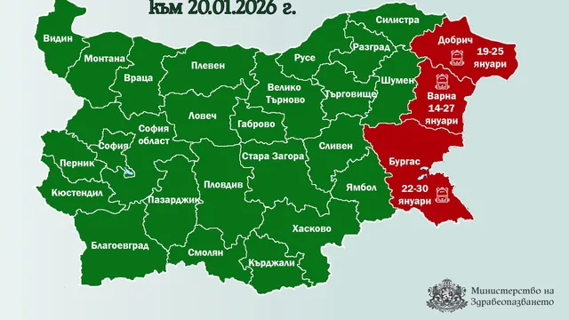 От днес – 22 януари, до 30 януари и Бургас е в грипна епидемия