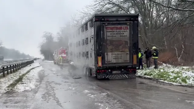 Камион с прасета се запали на пътя Хасково – Димитровград