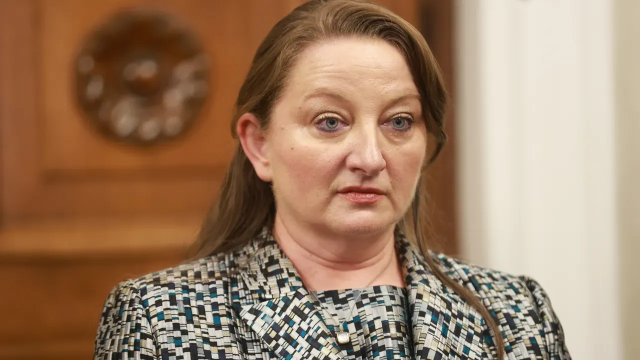 Сачева: България не застрашава ЕС с влизането в Съвета за мир