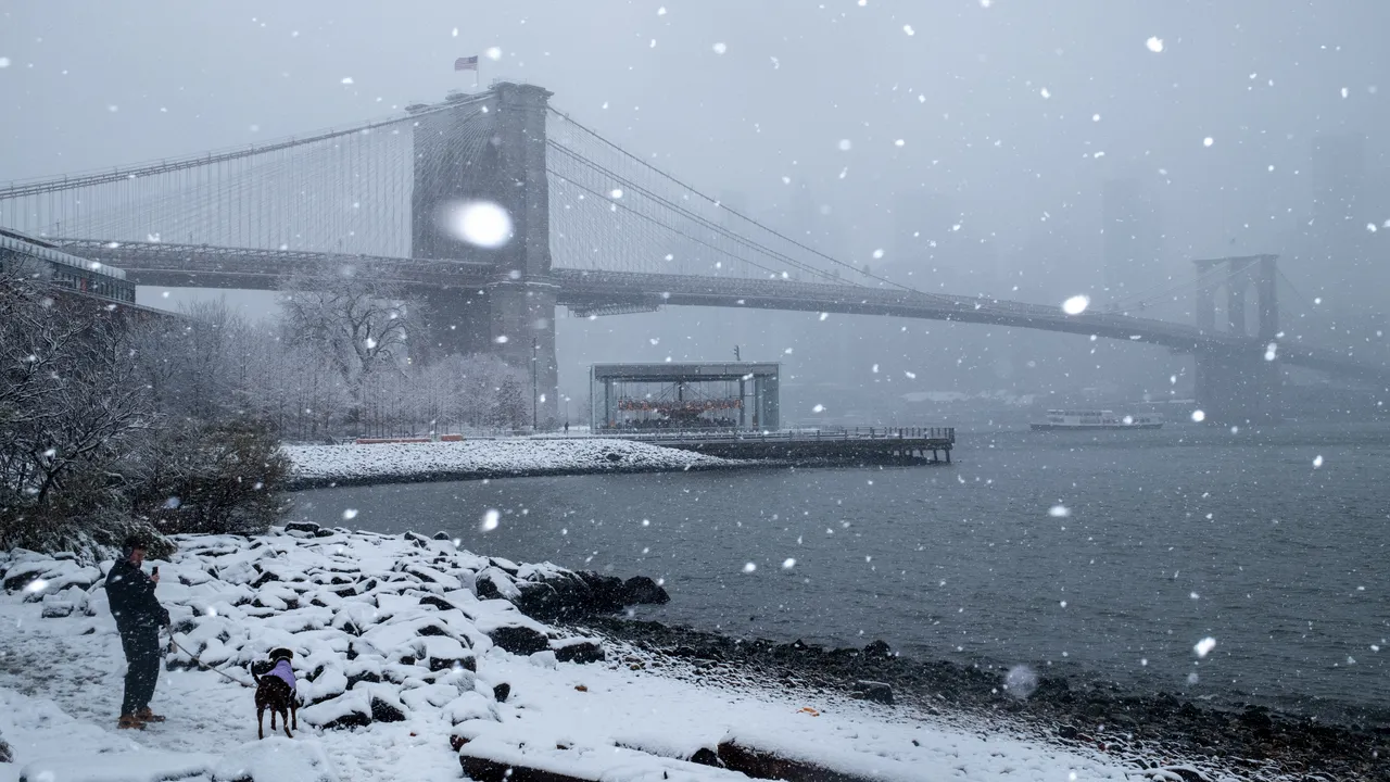 Зимна буря остави над 800 000 души без ток и отмени хиляди полети в САЩ