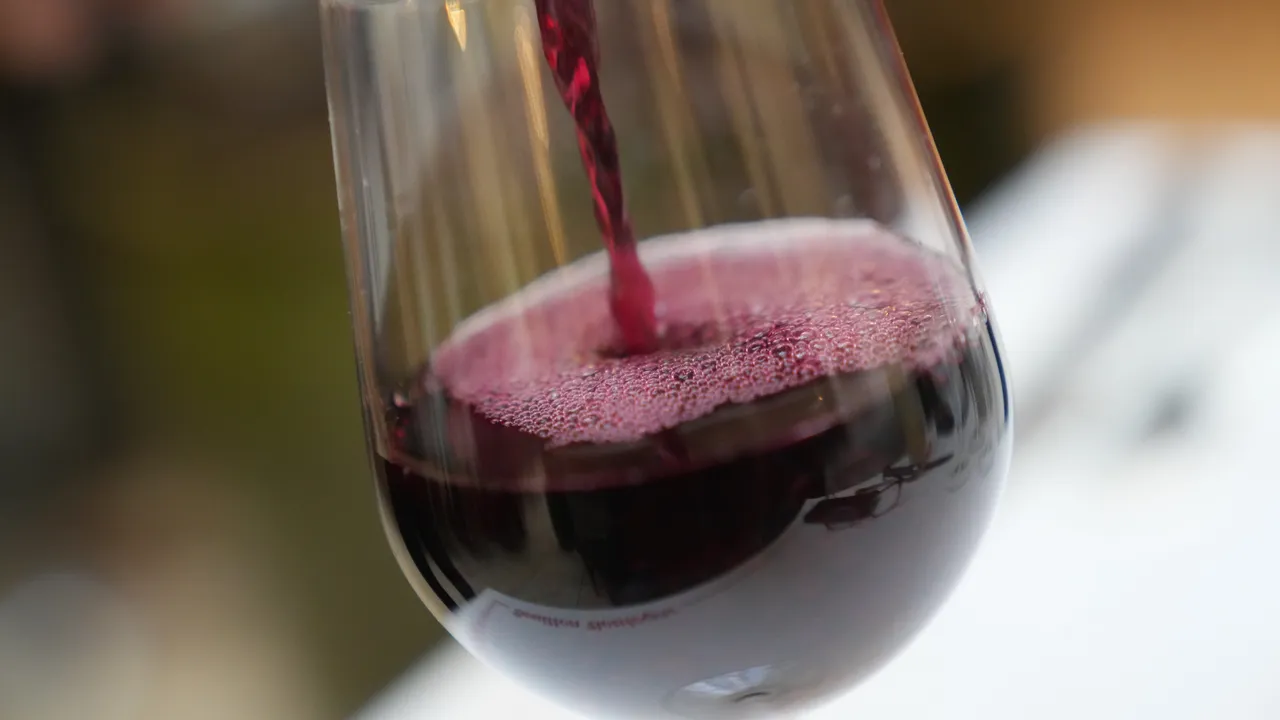 ЕС се надява да отпуши потенциала на растящия винен пазар в Индия