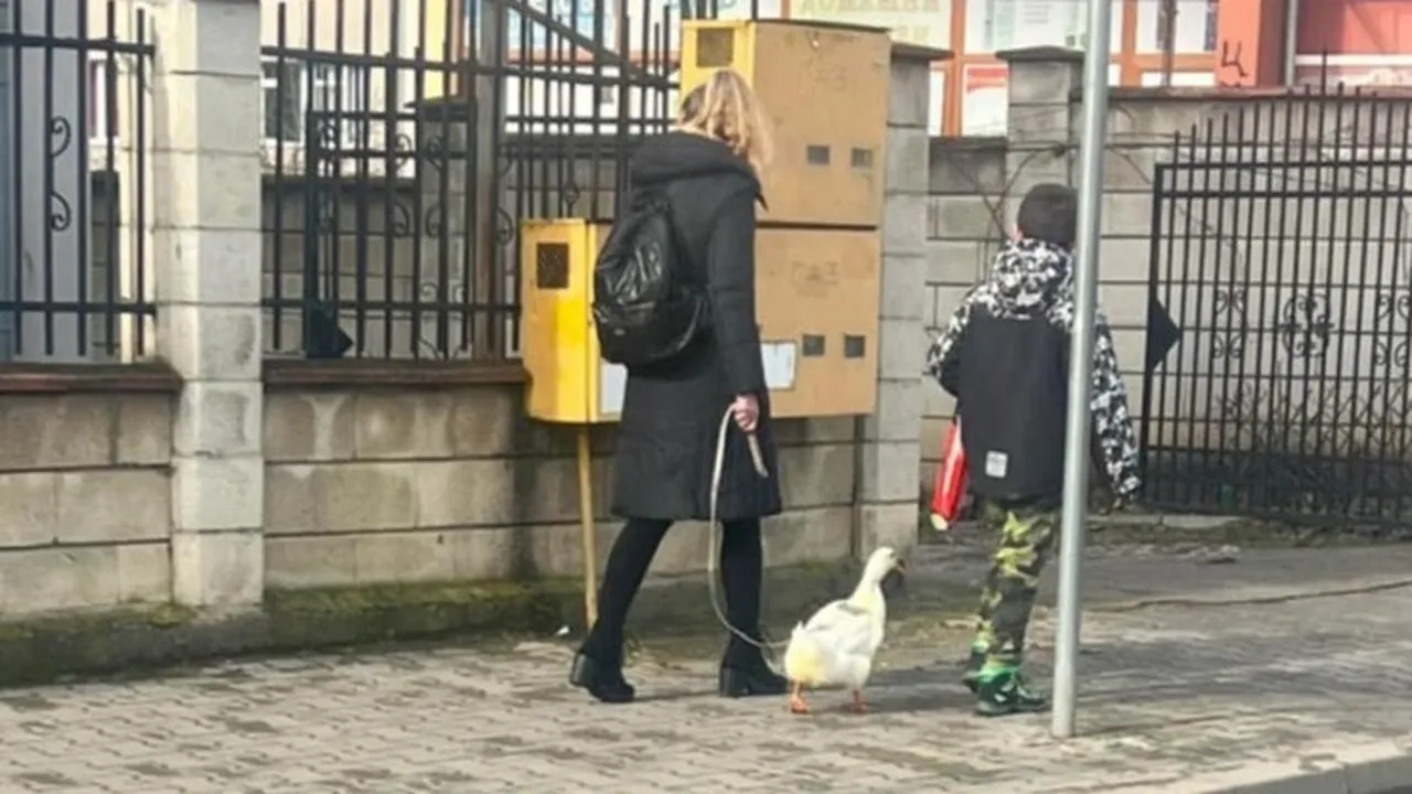 Само в Добрич: Неочакван домашен любимец придружава стопаните си