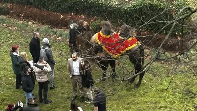 Необичайна гледка: Камила пасе в центъра на София