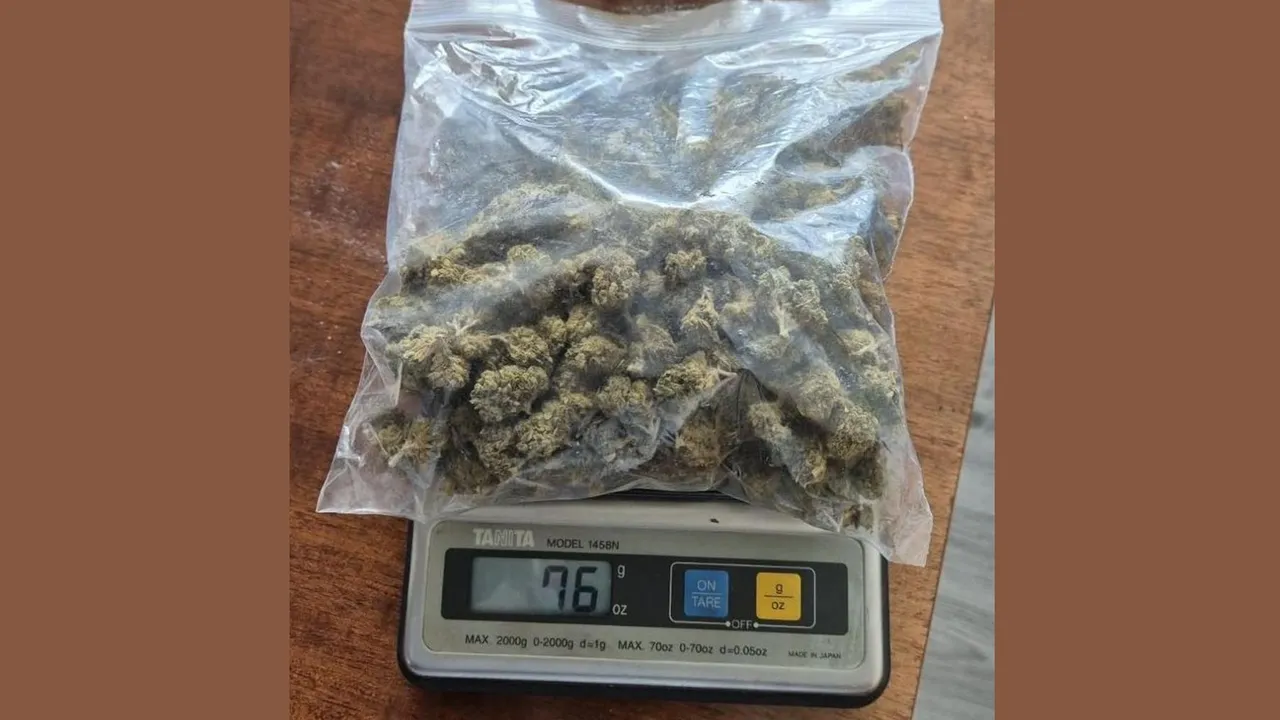 Полицията издебна и прибра двама дилъри от Пазарджик и Пещера