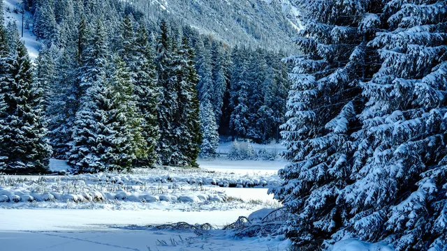 Февруари носи студ до -12° и затопляне до 23°