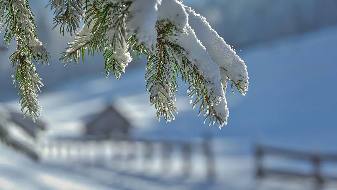 Обилен снеговалеж, виелици и навявания утре