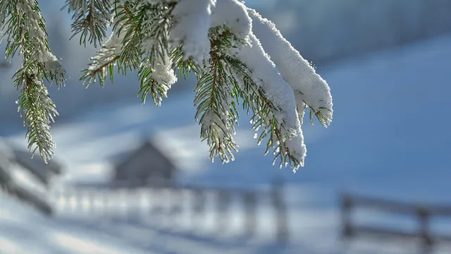 Обилен снеговалеж, виелици и навявания утре