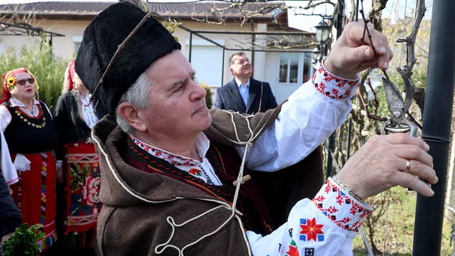 Какви са традициите – днес празнуваме Трифон Зарезан