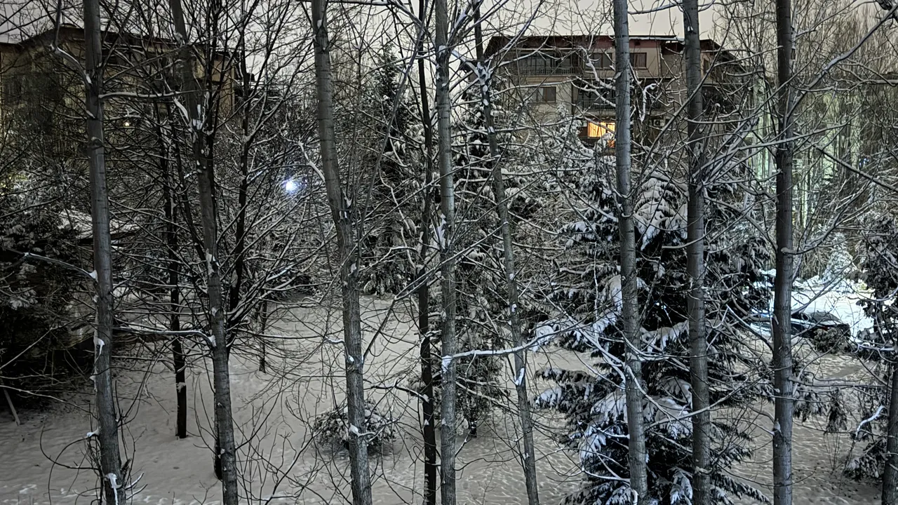 Прогноза за времето в България — понеделник, 2 февруари 2026 г.