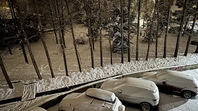 Пътна обстановка за шофьорите — 2 февруари 2026 г.