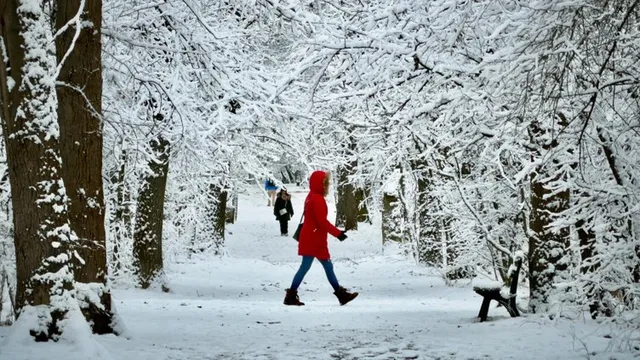 Времето утре: Облачно, сутринта на места –10°