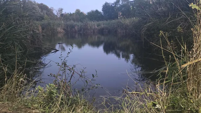 Жителите на столичния квартал "Манастирски ливади" на протест: Не желаем "Елените" 2