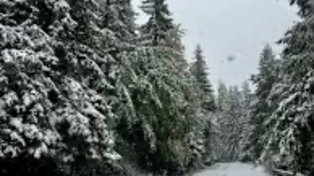 Прогноза за времето в България — вторник, 3 февруари 2026 г.