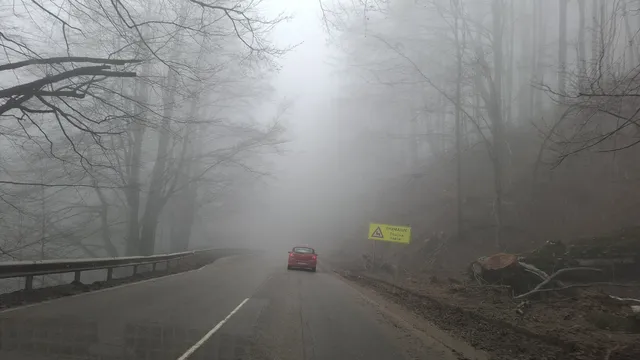 Как тримата застреляни край Петрохан са регистрирали НПО с това име, пита Иванов