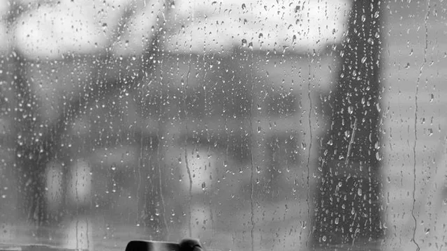 Прогноза за времето в България — сряда, 4 февруари 2026 г.