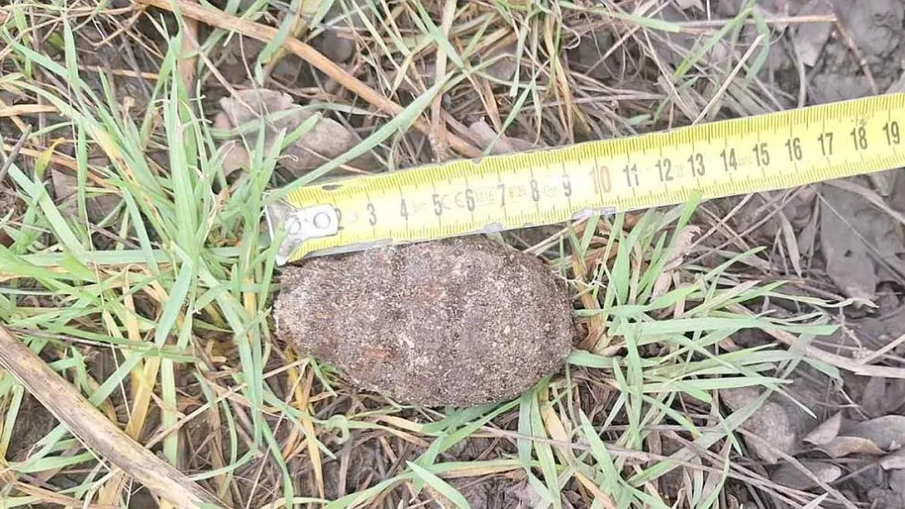 Спецотряд унищожи корозирала ръчна граната, намерена в бургаски гараж