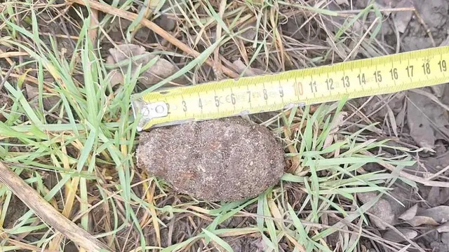 Спецотряд унищожи корозирала ръчна граната, намерена в бургаски гараж