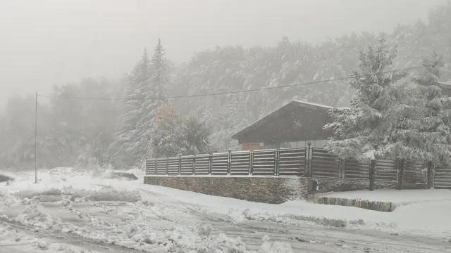 Издирваният за случая "Петрохан" "повече не можел да издържа"