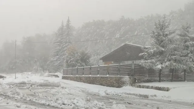 Най-важното от България на 04.02.2026-та г.