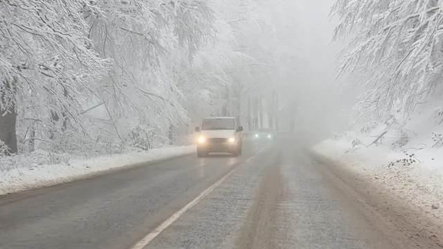 Дренчев: Тройното убийство край Петрохан е педофилска мрежа