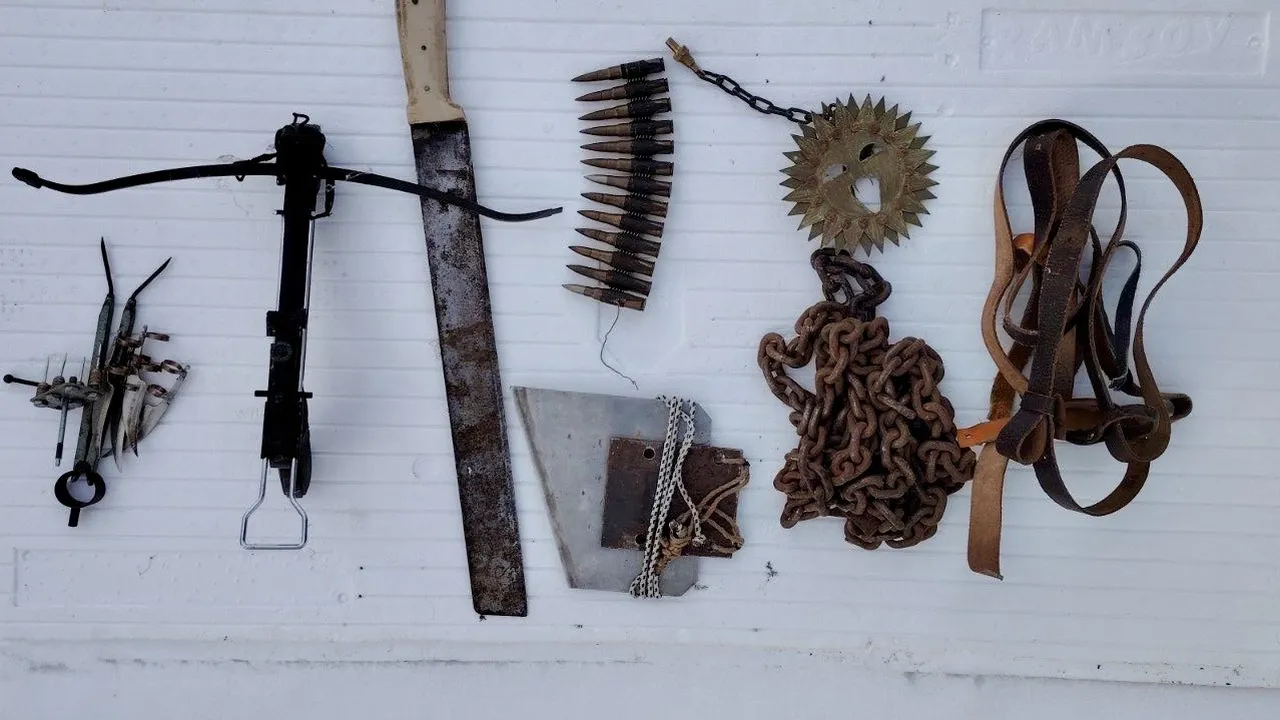 Съдът в Свищов ще гледа мерките на двамата задържани за насилие над животни