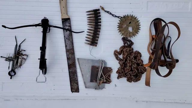 Съдът в Свищов ще гледа мерките на двамата задържани за насилие над животни