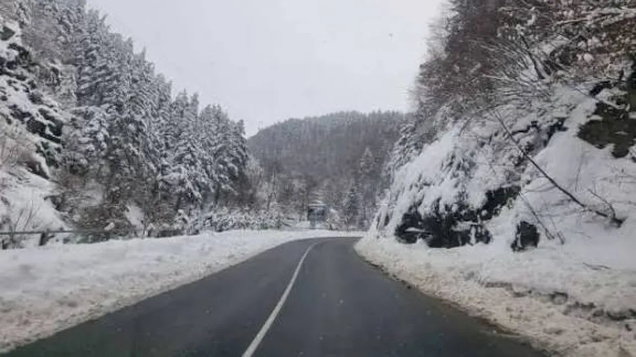 Пътна обстановка в България – 5 февруари
