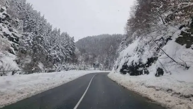 Пътна обстановка в България – 5 февруари