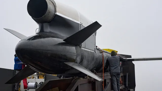 Украинската ракета "Фламинго" удари гнездото на руската "Орешник"