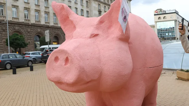 Кметът на Кърджали забрани на ПП-ДБ да поставят розовото прасе в центъра на града