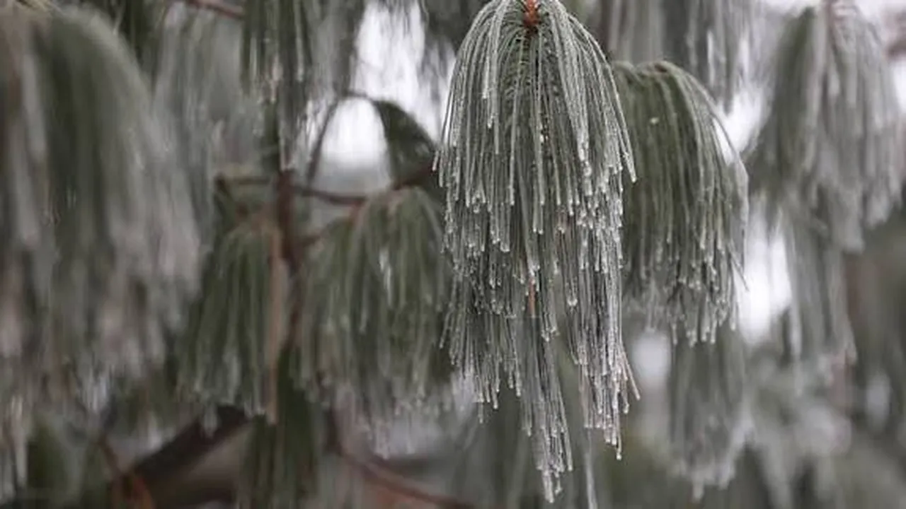 Прогноза за времето в България – 6 февруари