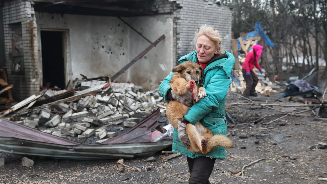 Руска въздушна атака унищожи приют за кучета в Запорожие