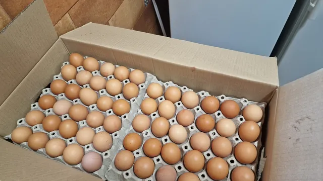 Икономист оборва НСИ за  ръста на инфлацията