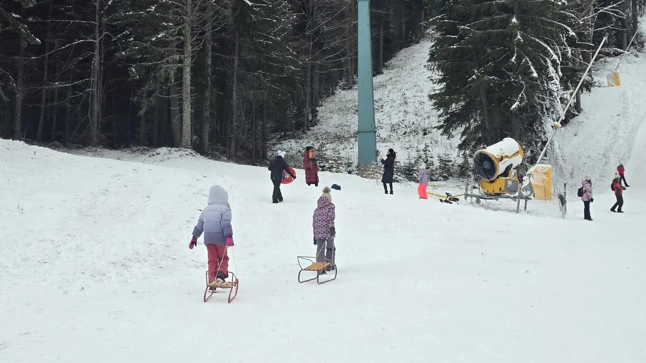 Какво време ни очаква в седмицата преди Трифон Зарезан