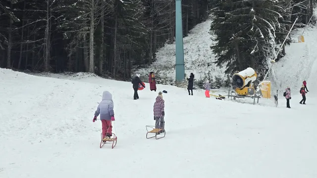Какво време ни очаква в седмицата преди Трифон Зарезан