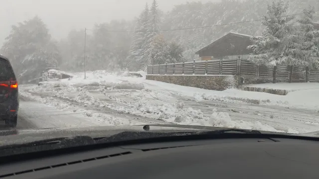Румен Петков: Двата въпроса за убийството на Петрохан са: кой и защо