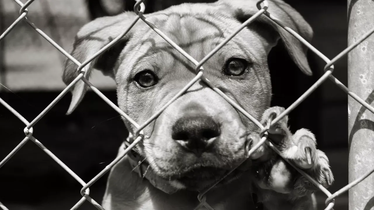 149 жертви, 15 часа насилие, 10 години мълчание и стотици хиляди евро: Докога ще броим жертвите, вместо присъдите