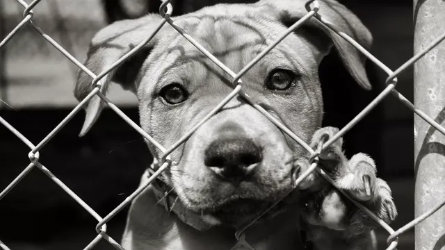 149 жертви, 15 часа насилие, 10 години мълчание и стотици хиляди евро: Докога ще броим жертвите, вместо присъдите