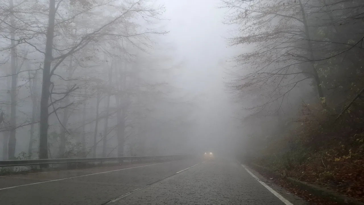 Емануил Йорданов: Нужен е комплексен подход към убийствата в Петрохан и Околчица