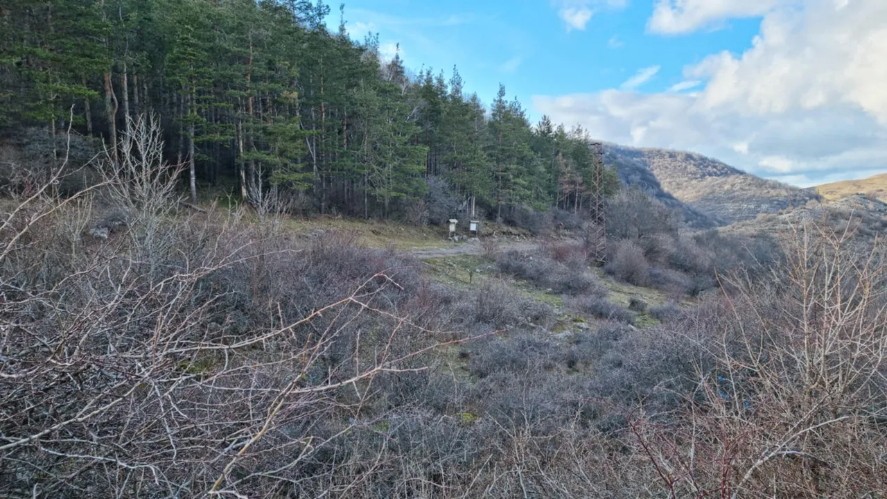 Андрей Цветанов за убийствата в Петрохан и Околчица: Защо кучетата са прибрани в къщата