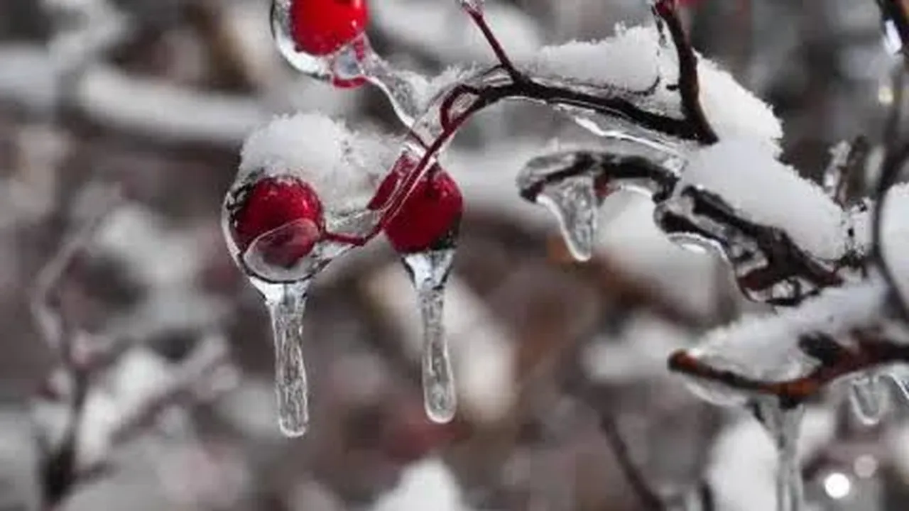 Прогноза за времето в България – вторник, 10 февруари