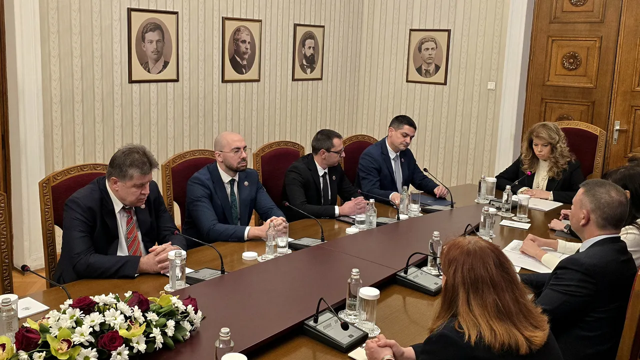 Дамянова за поведението на МЕЧ: Битка между човек с 1,2% рейтинг и дама, прекрачила балотажа