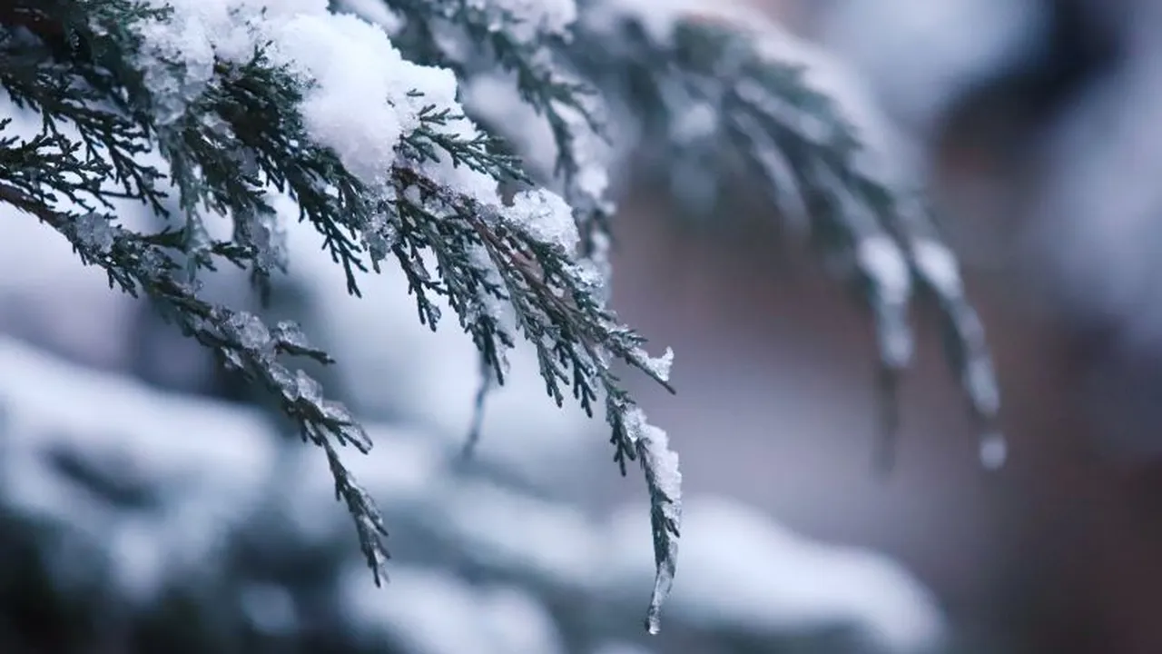 Прогноза за времето в България – сряда, 11 февруари