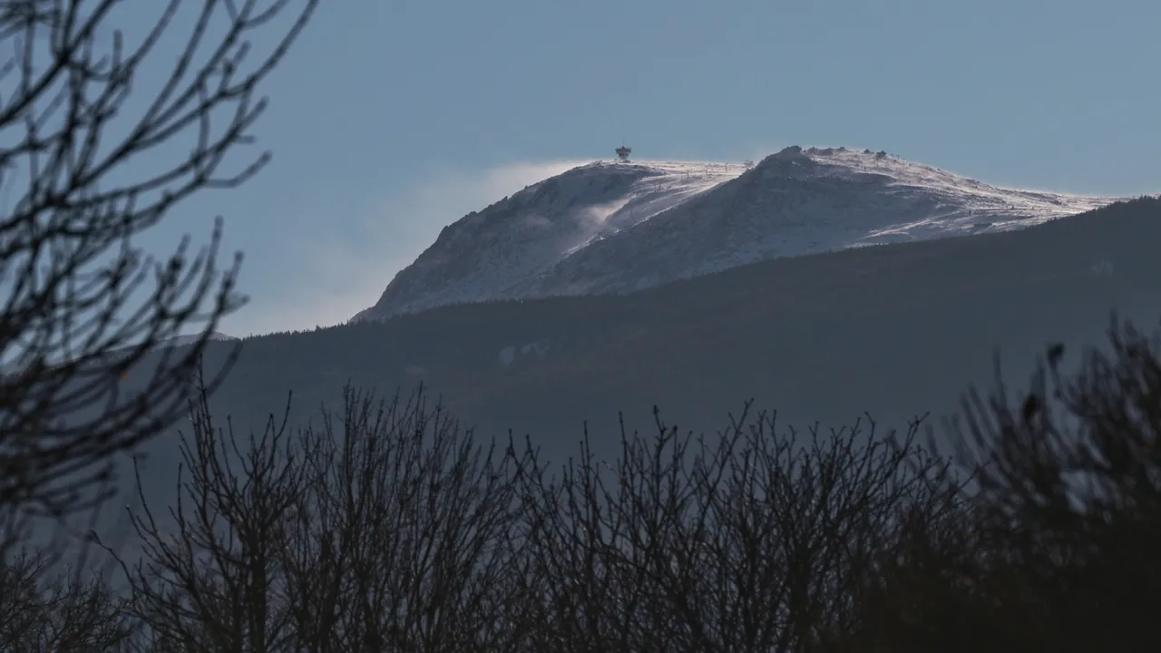 След като дърво уби майка на Витоша: Общината не предприема мерки