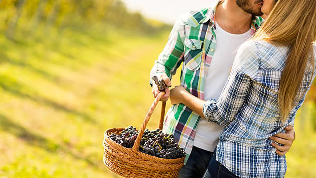 14 февруари: Между лозето и сърцето