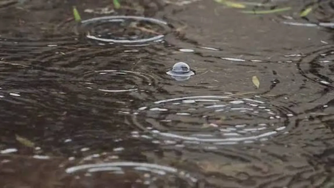 Прогноза за времето в България – петък, 13 февруари
