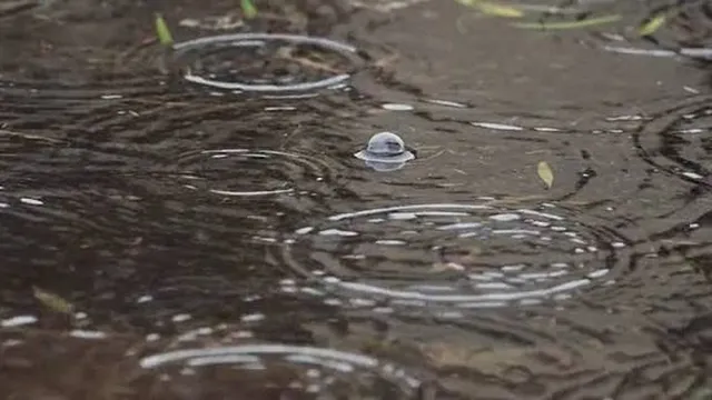 Прогноза за времето в България – петък, 13 февруари