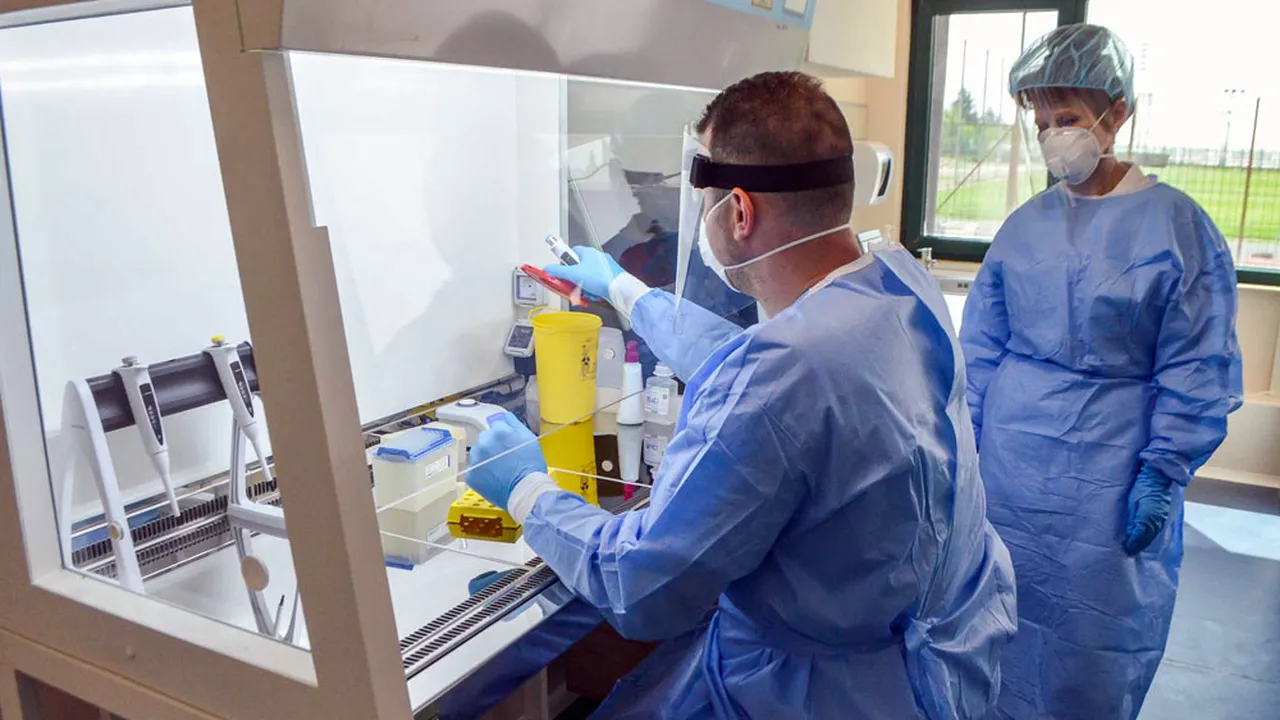 Следващата пандемия?:„Говежди грип“ и кучешки коронавирус вече заразява и хора